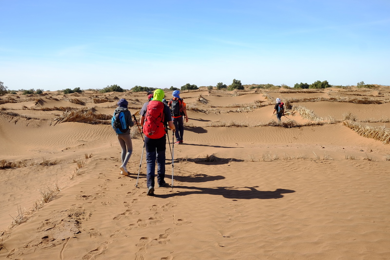 Damier de tresses en palmier pour empêcher le sable de s'étendre au loin trop près des habitations et des routes