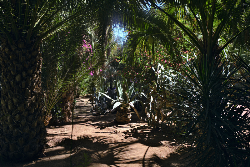 Le Jardin Majorelle
