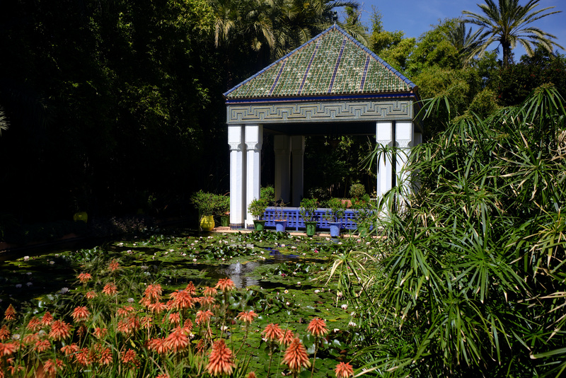Une des nombreuses source d'eau du jardin