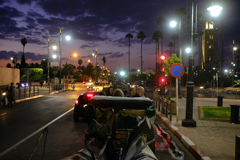 De retour à Marrakech, un petit tour de calèche le soir