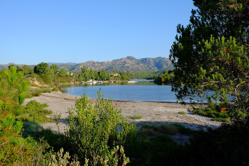 Cul de sac. De l'autre côté la réserve de l'Oasis Bidderosa