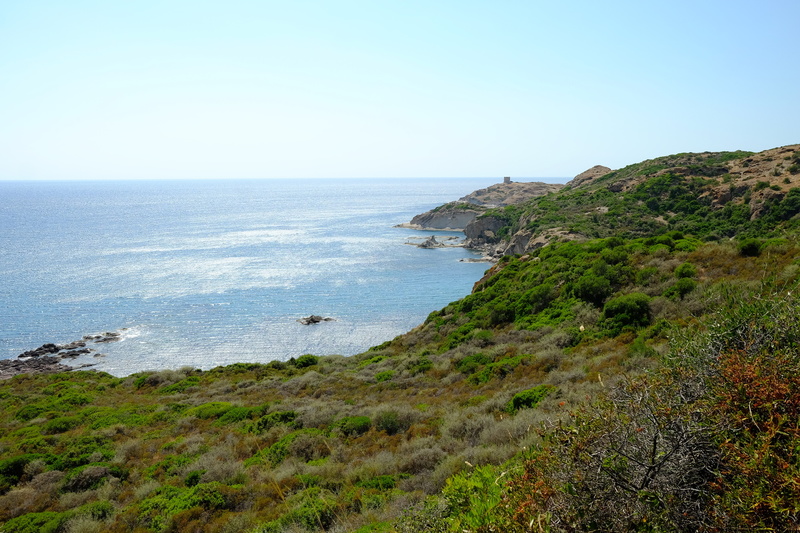 Sur la route du retour pour Porto-Torres, le long du littoral