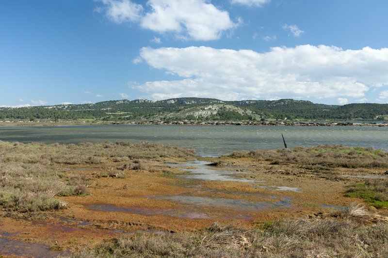 Nous voilà repartie, direction Capestang