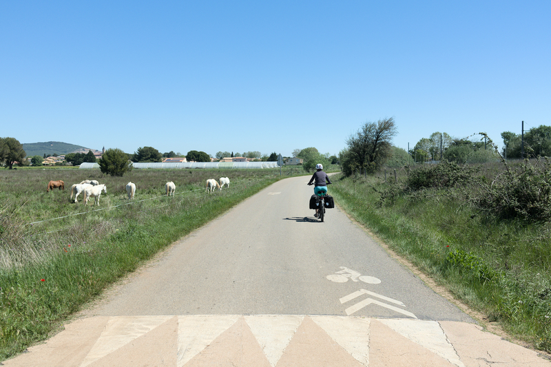 L'EuroVelo 8