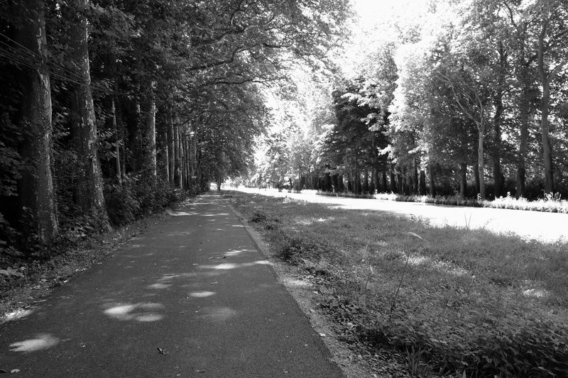 Et les parents se baladent à vélo le long du canal qui rejoint la Nièvre. Il a été mis en service en 1838 pour le transport fluvial
