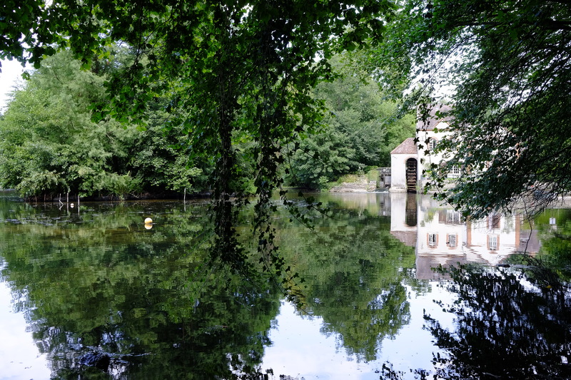 Petite balade le lendemain le long du Loiret. C'est un lieu agréable, calme et naturel