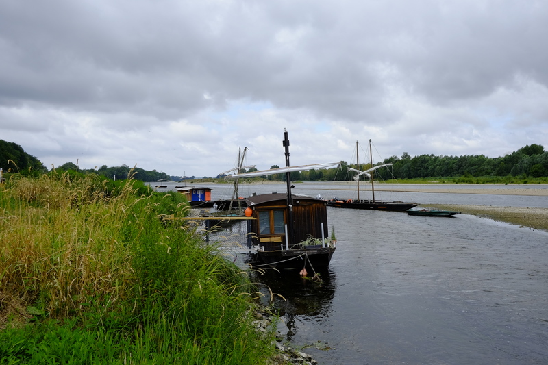 Nous revoilà à pédaler le long des berges de la Loire, en direction d'Amboise