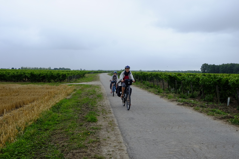 Sur la route de Tours, au milieu des vignes, à mon grand drame (en vélo, il est difficile d'acheter et de ramener du vin)