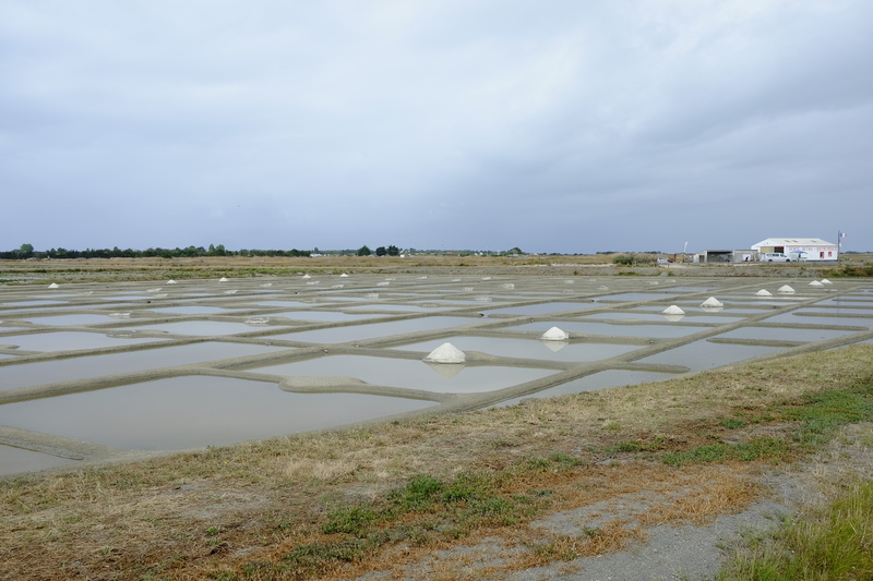 On passe devant des marais salans