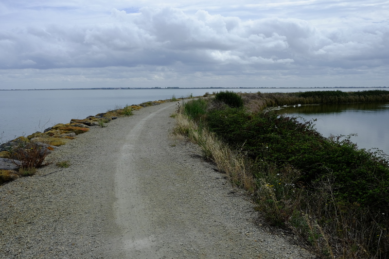 Le chemin passe entre la mer et les étangs aux oiseaux