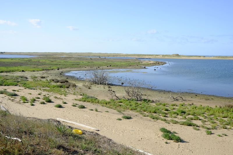 Nous passons à la Réserve Naturelle Nationale de la Casse de la Belle-Henriette