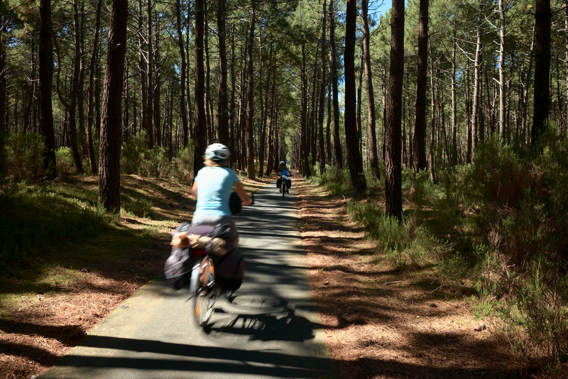 La vélodyssée passe aussi au travers des bois du littoral, nous permettant de pédaler à l'ombre des pins et des chênes verts