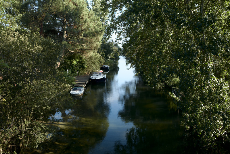 ... et balade dans les alentours du Lac de Cazeaux et de Sanguinet