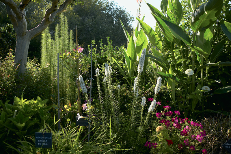 Un jardin botanique prêt de notre camping à Mimizan