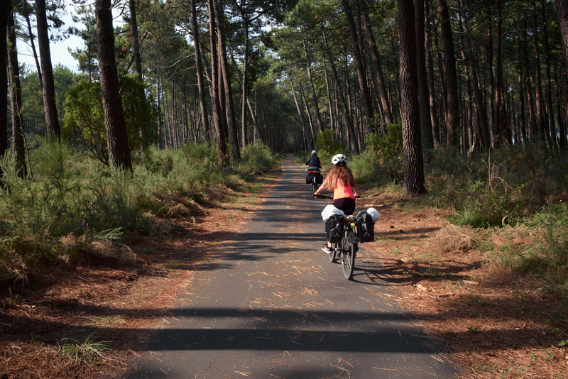 Nous repartons et traversons les bois du littoral. Direction Vieux-Boucau-Les-Bains.