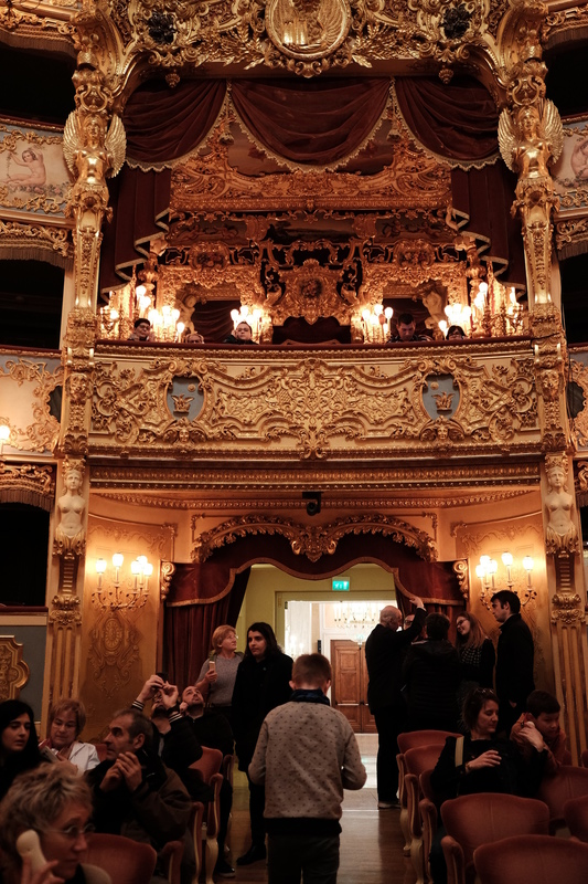 Visite de l'opéra La Fenice, construite au 18e siècle