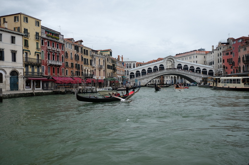 Nous décidons d'emprunter le vaporetto pour retourner chez nous. Ici le Pont Rialto avec ses boutiques