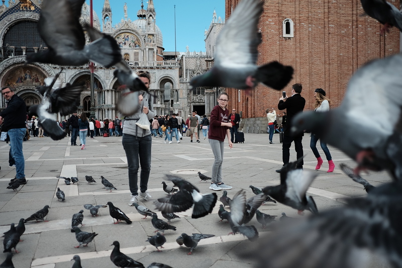 Séance photo sur la place San Marco avec les pigeons