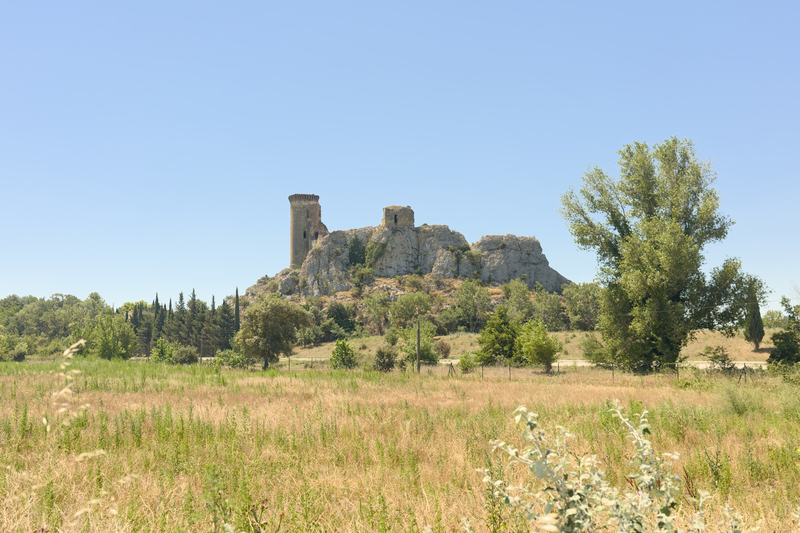 Une forteresse abandonnée qui, au Moyen-Âge, contrôlait le flux fuvial et y prélevait des taxes assurant ainsi une belle fortune et un renom au seigneur