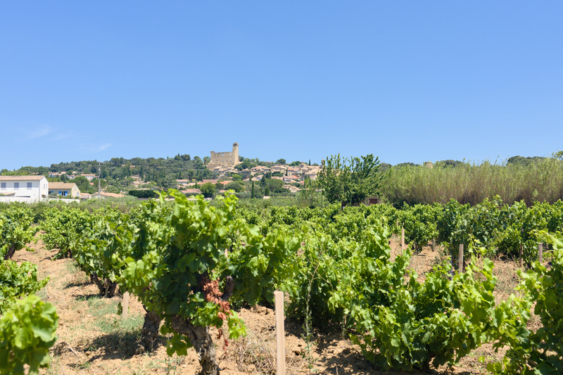 Châteauneuf-du-Pape et ses vignes environnantes