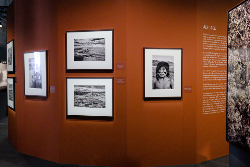 Une exposition que je ne voulais pas manquer