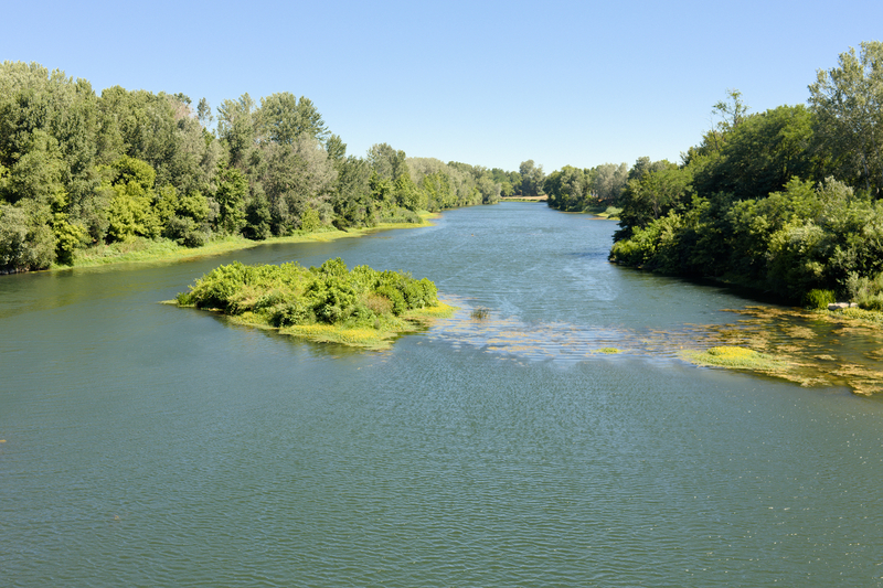Le côté sauvage du Rhône. Ce qui nous change de son court fortement aménagé