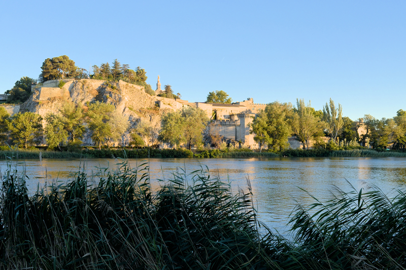 Avignon, vue de l'Île de la Barthelasse