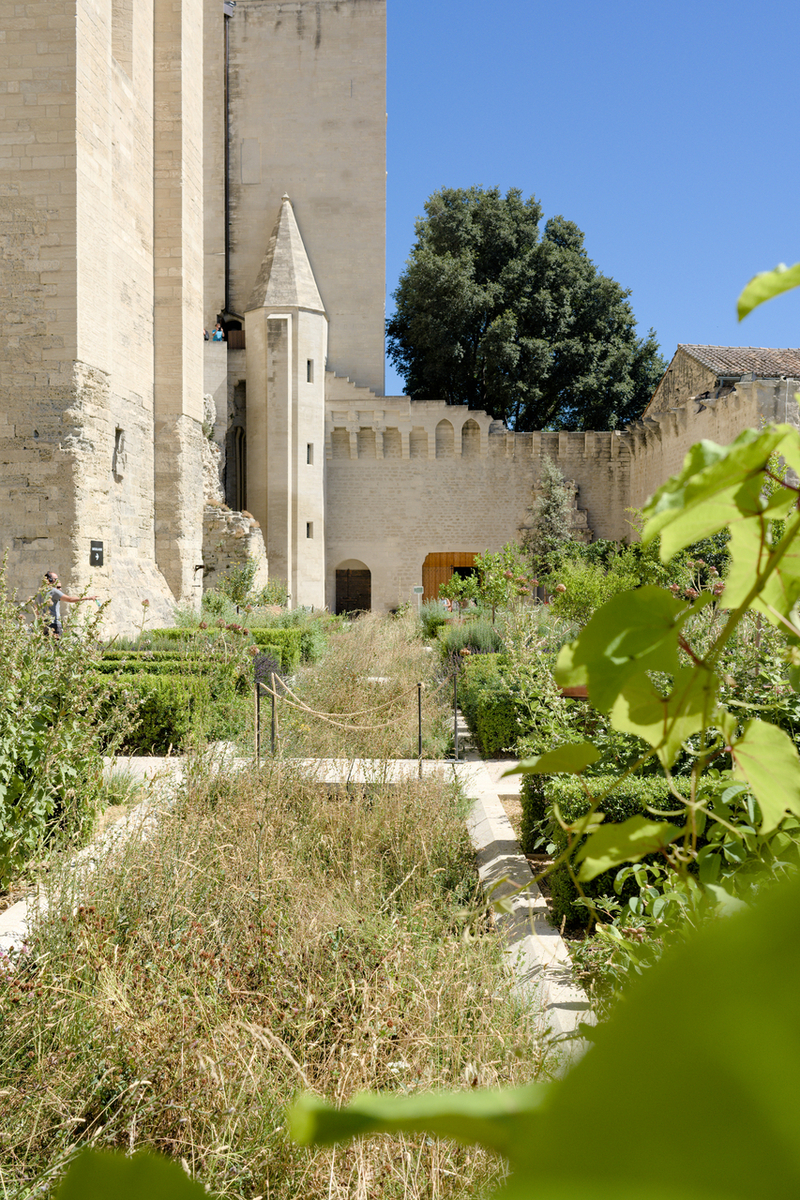 Visite du Palais des Papes